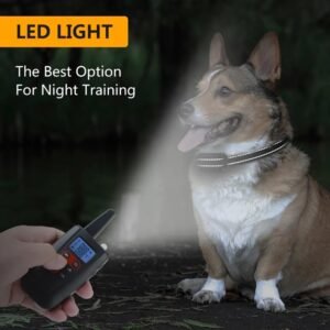 Dog Training Collar with Remote
