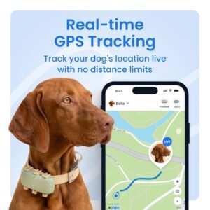 Tractive XL Smart Dog GPS Tracker