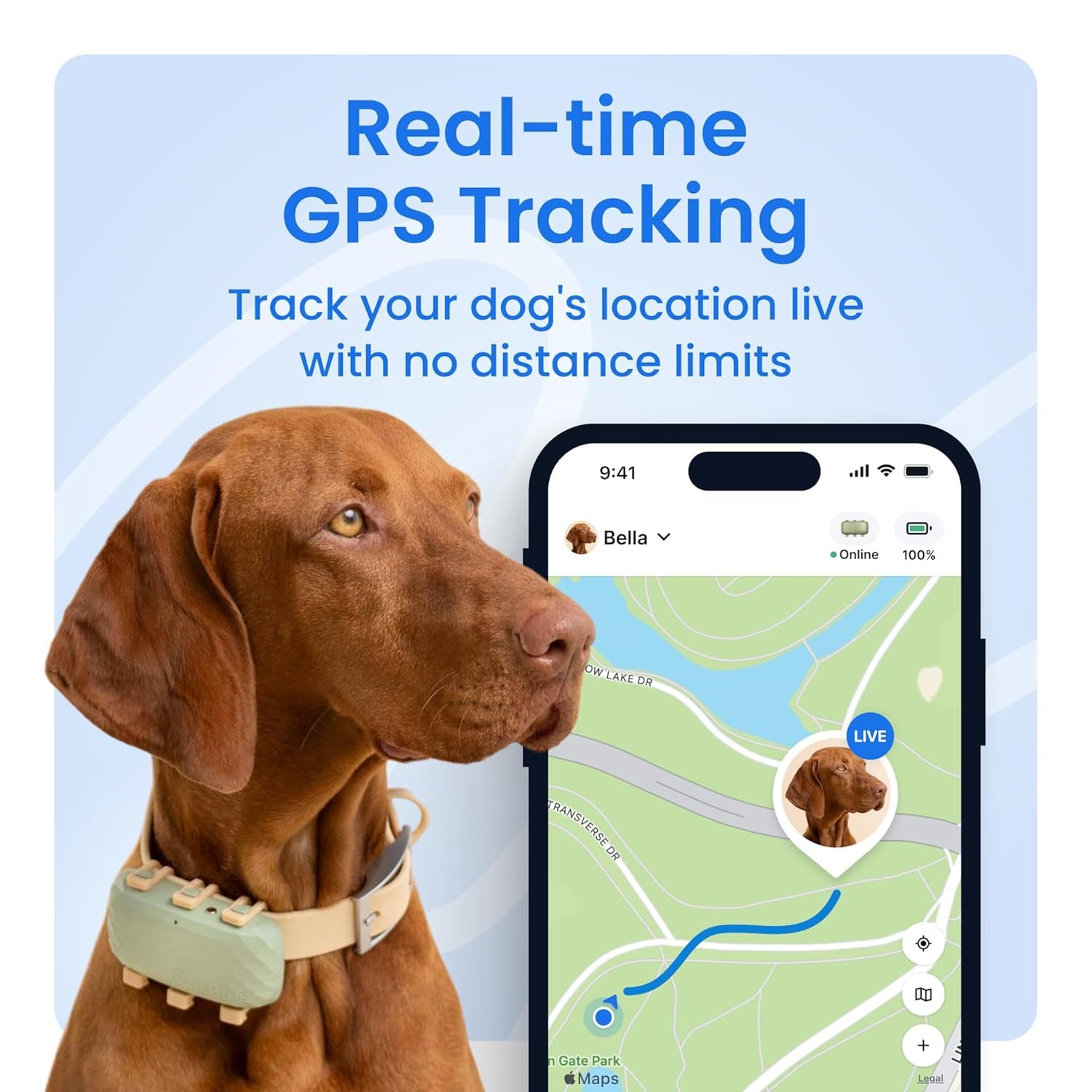 Tractive XL Smart Dog GPS Tracker - Image 2