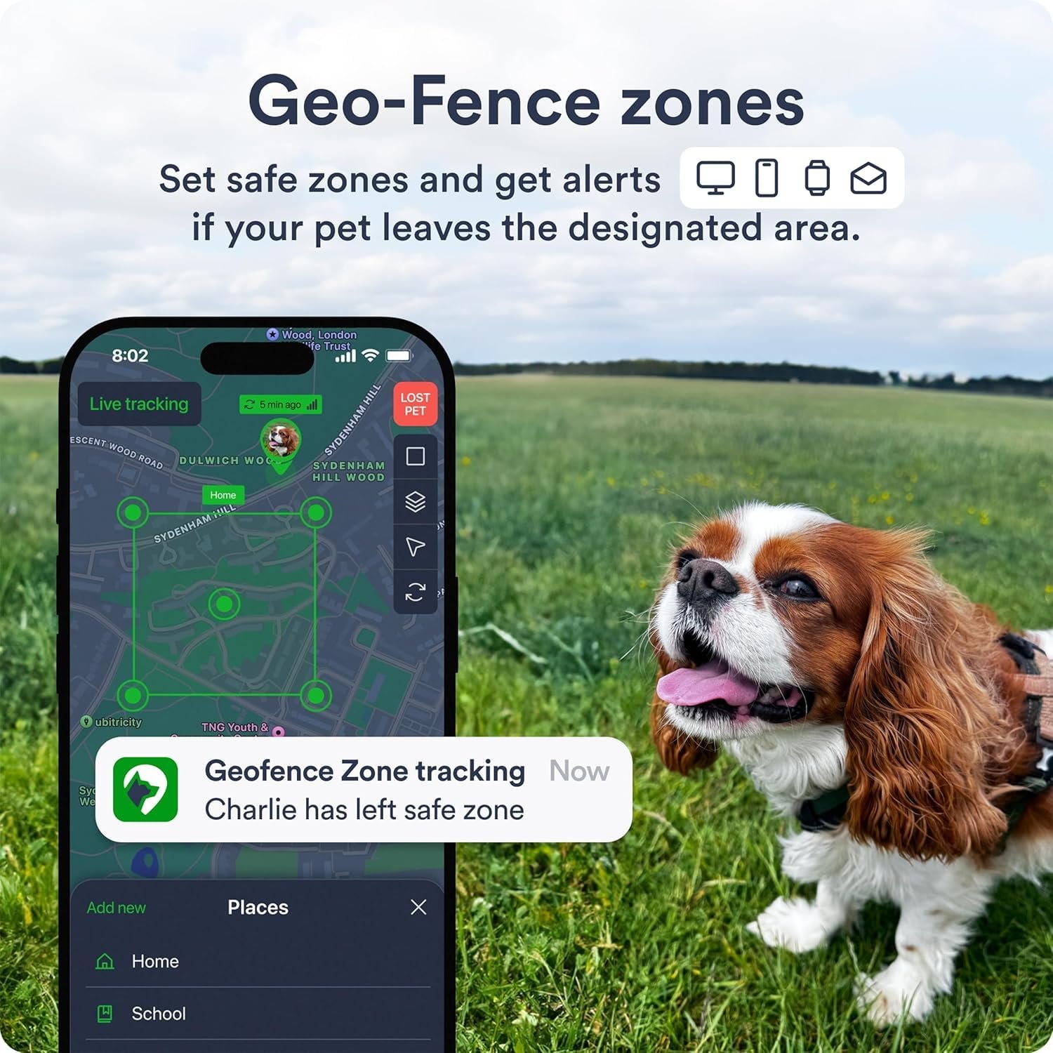 Dog GPS Tracker With Smart Alerts - Image 3