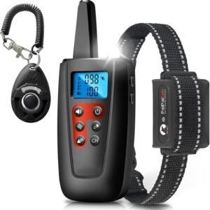 Dog Training Collar with Remote