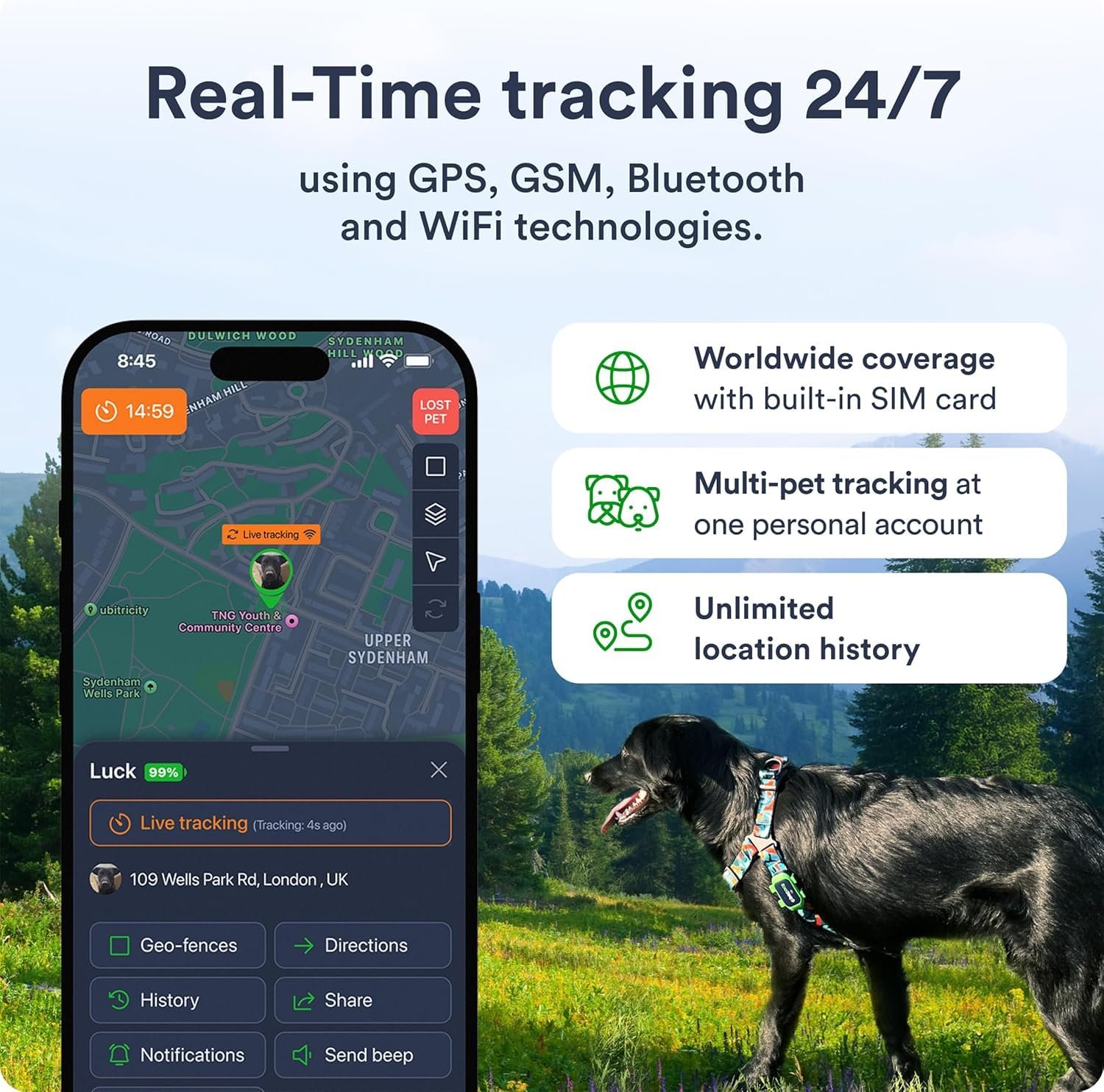 Dog GPS Tracker With Smart Alerts - Image 2