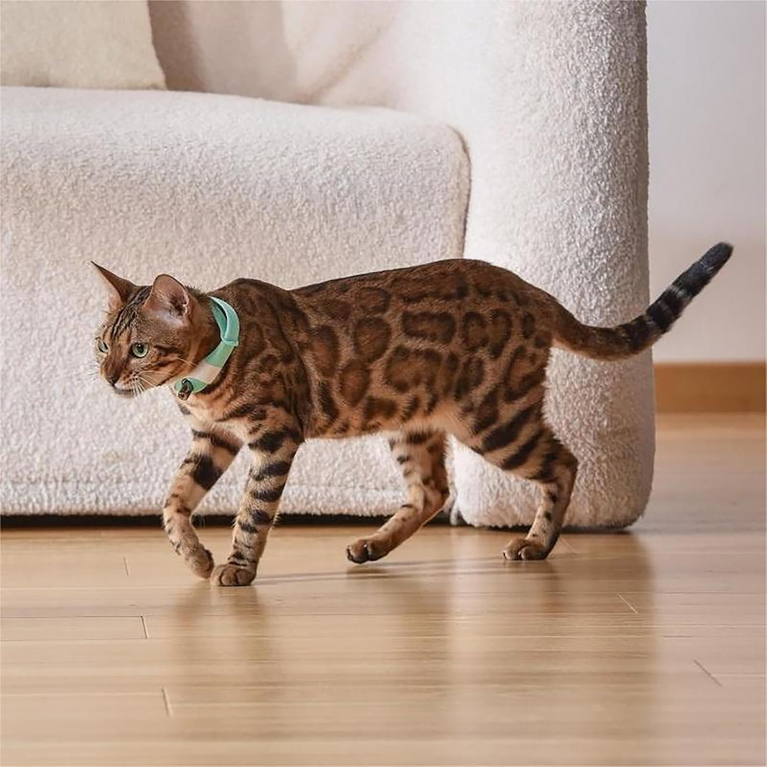 Wearable Laser Toy Collar for Cats - Image 8