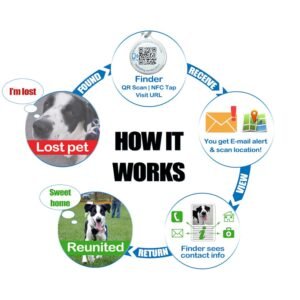Pet Dwelling Petdwelling Blue Paw Qr Code