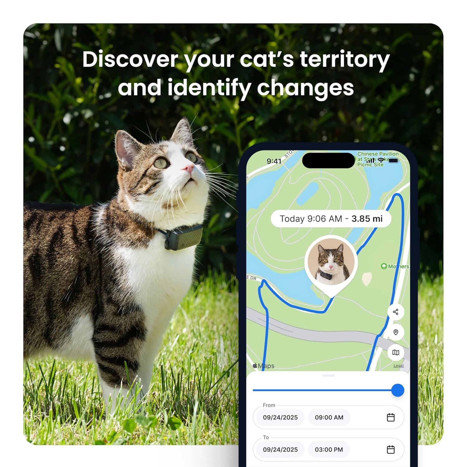 Tractive XL Smart Dog GPS Tracker - Image 5