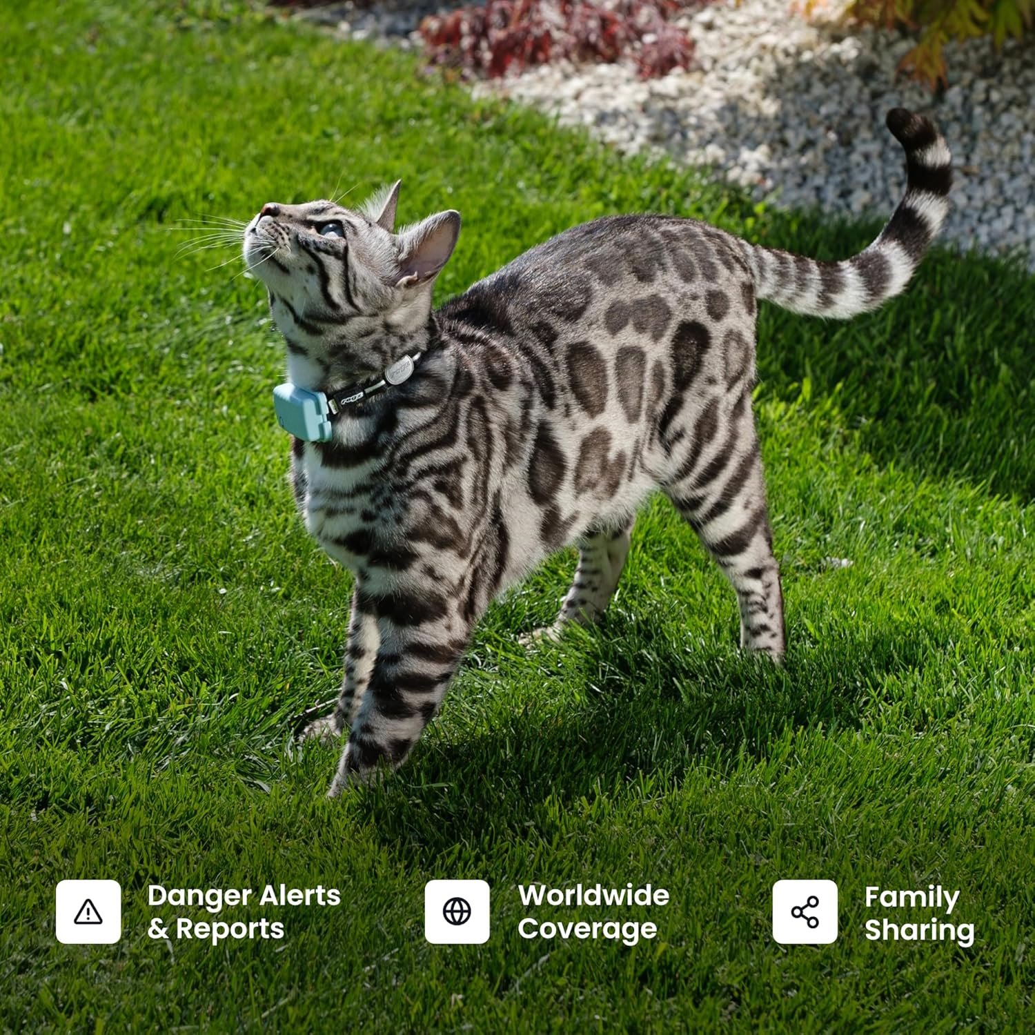 Tractive XL Smart Dog GPS Tracker - Image 8